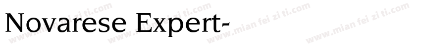 Novarese Expert字体转换
